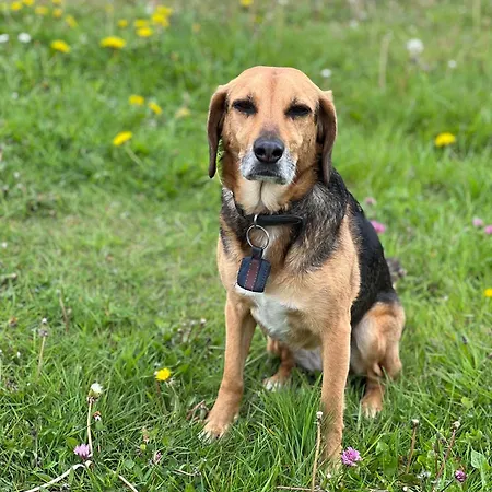 Апартаменты Malte *