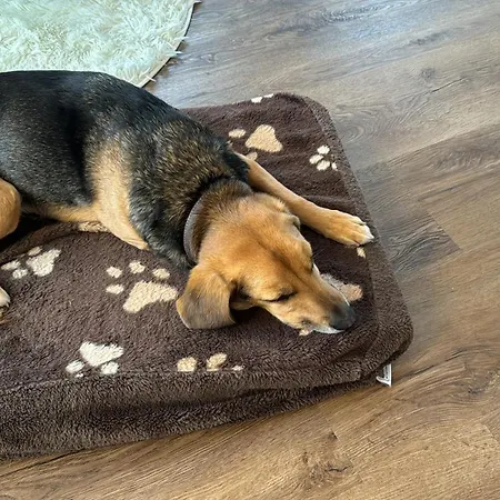 Malte Апартаменты *